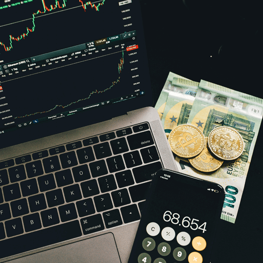 Torexian crypto investment experts team